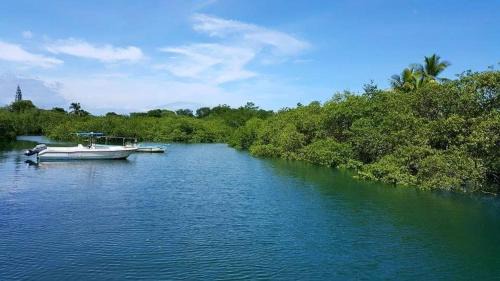 Puerto Jiménez Casa | Casa Nativa CR