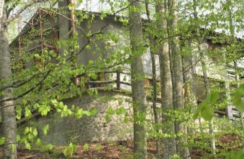 Castel del Piano Apartamento | Casa nel bosco alle Macinaie