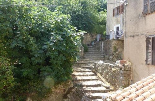 Nessa Casa | Casa Nessa - Résidence familiale