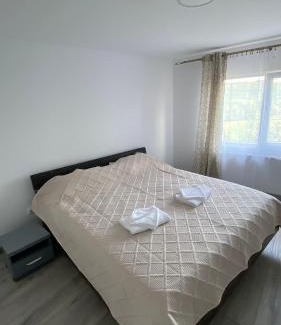 Pucioasa Casa | Casa NICORAD Apartamente