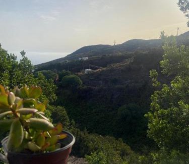 Barlovento Casa | Casa Nieves de Mario