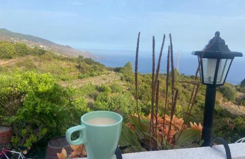 Barlovento Casa | Casa Nieves de Mario