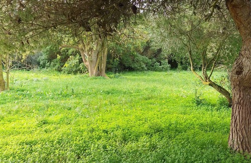 Mahón Chalet De Esquí | Casa Nika Finca Menorquina un oasis de tranquilidad con piscina y jardines