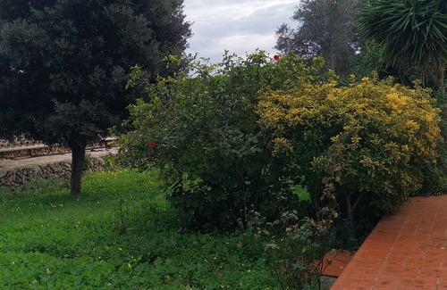 Mahón Chalet De Esquí | Casa Nika Finca Menorquina un oasis de tranquilidad con piscina y jardines