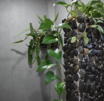 Bijagua Apartamento | Casa Nimbu Rainforest