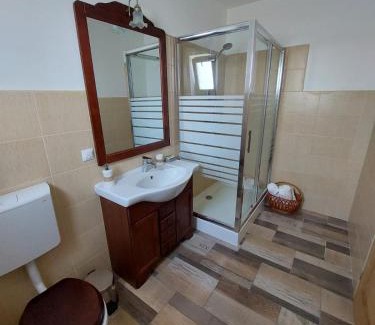Cartisoara Casa | Casa Oaspeti Transfagarasan