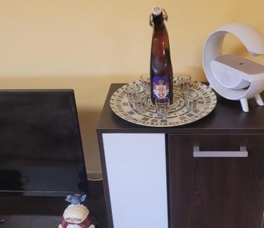 Sarmizegetusa Casa | Casa OPRIȚA