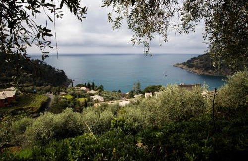 Bonassola Apartamento | Casa Orchidea - Vista Mare meravigliosa