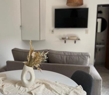 Tigre Apartamento | Casa Orejas - Departamentos en Tigre Centro