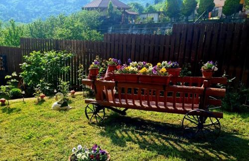 Jiblea Veche Casa | Casa Ostrov