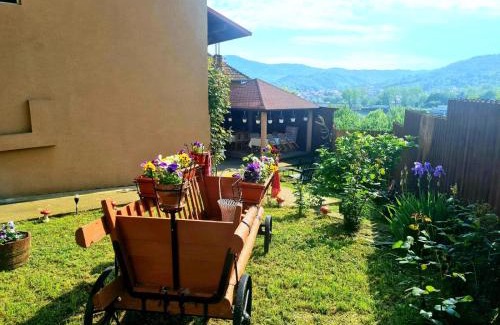 Jiblea Veche Casa | Casa Ostrov