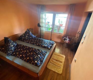 Hateg Casa | Casa Otilia