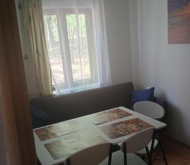 Gura Suhasului Casa | Casa Padurarului