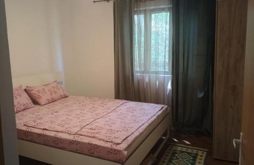 Gura Suhasului Casa | Casa Padurarului
