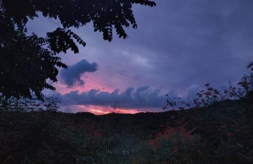 La Cruz de Huanacaxtle Casa | Casa Pajaros - Skyview