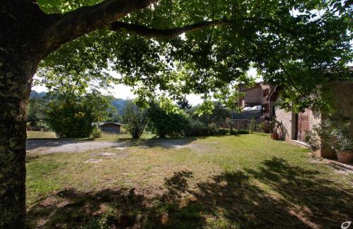 Camaiore Casa | Casa Paola