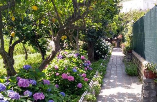 Marina Grande Casa | Casa Paolina - casa vacanze