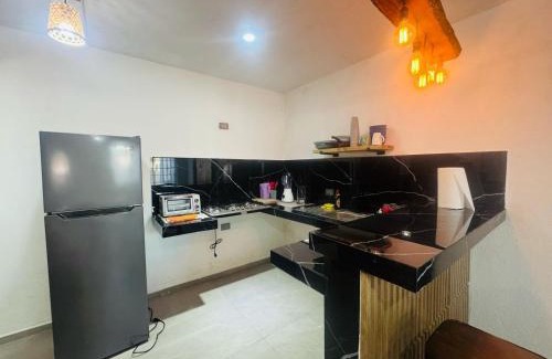 Alfredo V. Bonfil Apartamento | Casa Petate