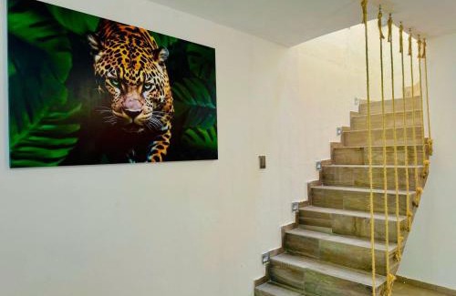 Alfredo V. Bonfil Apartamento | Casa Petate