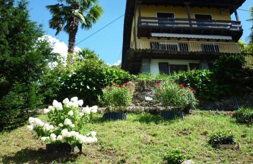 Magadino Apartamento | Casa Petra