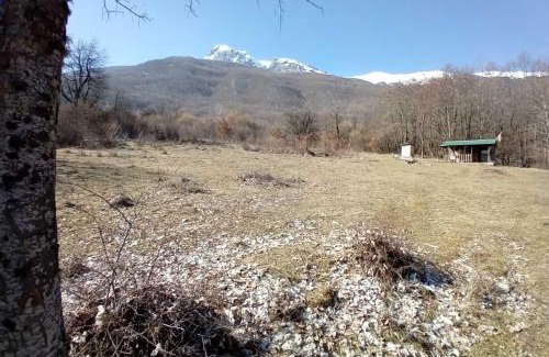 North Macedonia Otro | CASA Petra