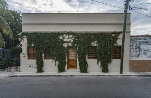 Zona Paseo Montejo Casa | Casa Piedra - Paseo Montejo