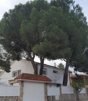 Móstoles Casa | Casa Pinares