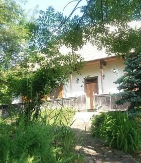 Manastirea Humorului Casa | Casa Pintea - Bucovina
