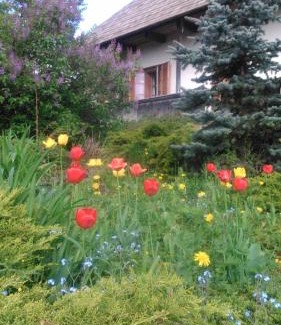Manastirea Humorului Casa | Casa Pintea - Bucovina