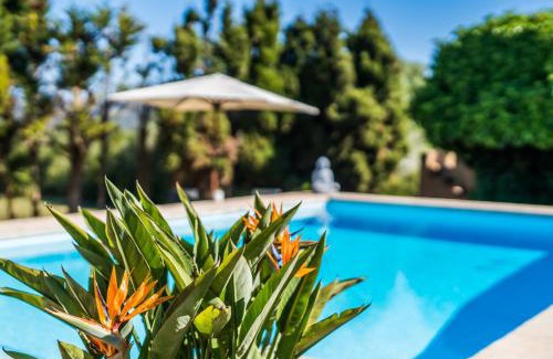 Arta Casa | Casa Piscina