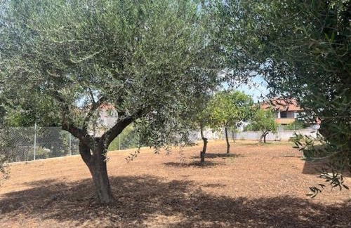 Anemomilos Casa | Casa Plati 2