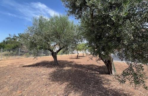 Anemomilos Casa | Casa Plati 2