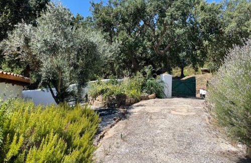 Apartadura Chalet De Esquí | Casa Pollard