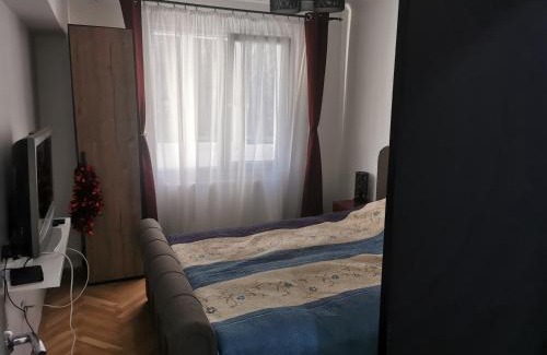 Tirgu Mures Apartamento | Casa Potcoava