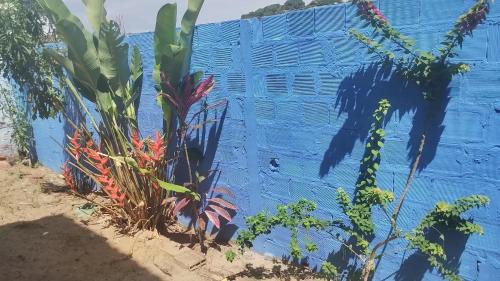 Saubara Casa | Casa praia cabuçu - azul com piscina