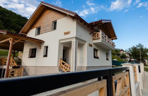 Vadu Izei Casa | Casa Pricop Moroșană