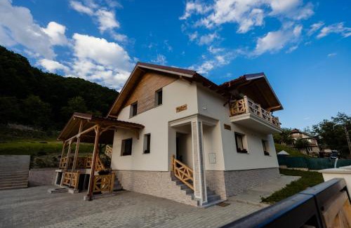 Vadu Izei Casa | Casa Pricop Moroșană