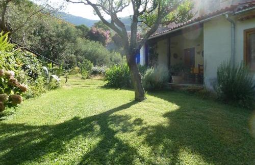 Maratea Cama Y Desayuno | Casa Puccini B&B Maratea
