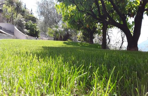 Castelletto Apartamento | Casa Punta Veleno