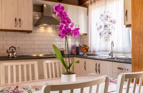 Arecida Apartamento | Casa Quintana - Apartamento Carla