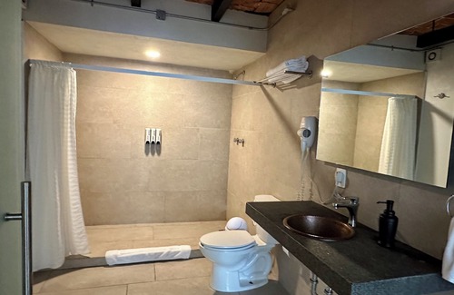 Zona Rosa de la Ciudad de México Hotel | Casa Raffaello CAPRI Private Room #1