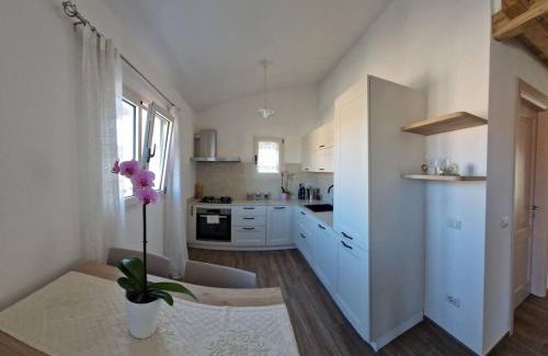 Palau Apartamento | Casa Regina elegante in centro