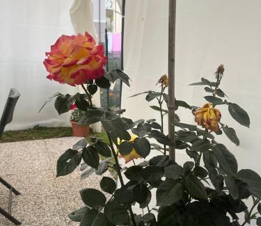 Pontremoli Apartamento | Casa Rei