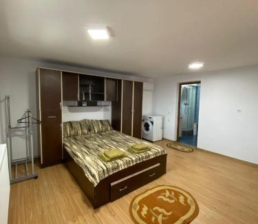 Daesti Apartamento | Casa Rizea