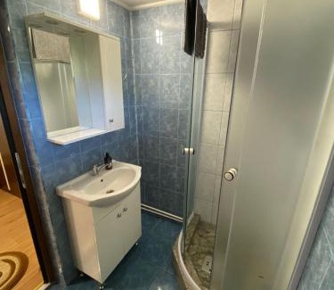 Daesti Apartamento | Casa Rizea