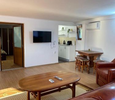 Daesti Apartamento | Casa Rizea