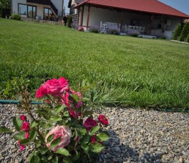 Razim Lake Casa | CASA RIZEA