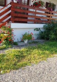 Vatra Dornei Apartamento | Casa Rodica