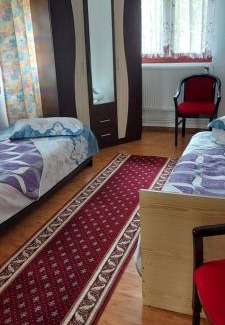 Vatra Dornei Apartamento | Casa Rodica