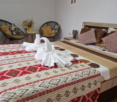 Sfantu Gheorghe Casa | Casa Roko